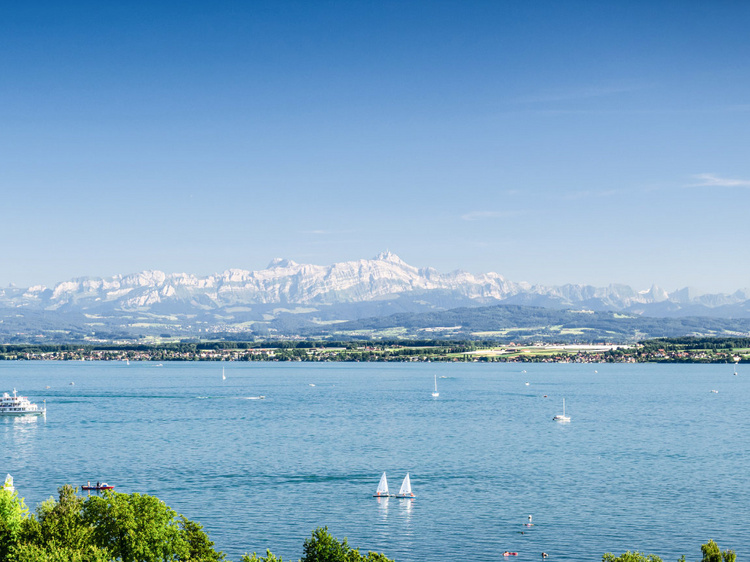 Panoramabild des Bodensees mit Alpen im Hintergrund